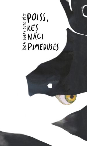 Poiss, kes nägi pimeduses Poiss, kes nägi pimeduses